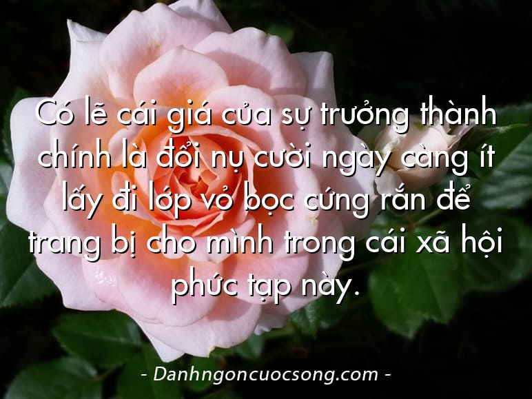 Có lẽ cái giá của sự trưởng thành chính là đổi nụ cười ngày càng ít lấy đi lớp vỏ bọc cứng rắn để trang bị cho mình trong cái xã hội phức tạp này.