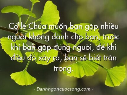 Có lẽ Chúa muốn bạn gặp nhiều người không dành cho bạn, trước khi bạn gặp đúng người, để khi điều đó xảy ra, bạn sẽ biết trân trọng.