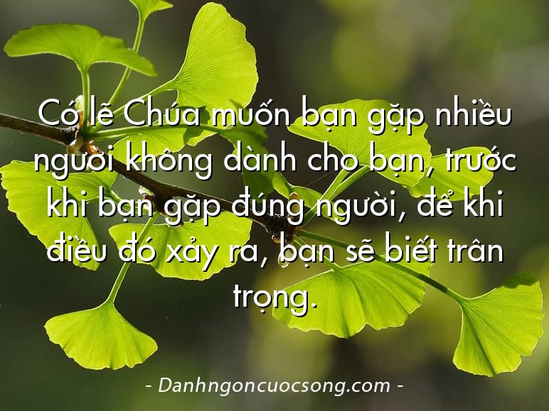 Có lẽ Chúa muốn bạn gặp nhiều người không dành cho bạn, trước khi bạn gặp đúng người, để khi điều đó xảy ra, bạn sẽ biết trân trọng.