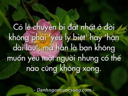 Có lẽ chuyện bi đát nhất ở đời không phải 'yêu ly biệt' hay 'hận dài lâu', mà hẳn là bạn không muốn yêu một người nhưng cố thế nào cũng không xong.