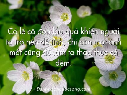 Có lẽ cô đơn lâu quá khiến người ta trở nên dễ tính, chỉ cần một ánh mắt cũng đủ làm ta thao thức cả đêm.