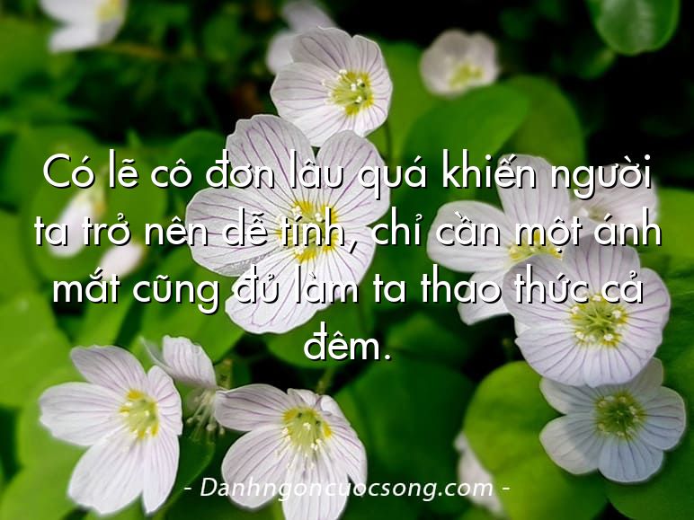 Có lẽ cô đơn lâu quá khiến người ta trở nên dễ tính, chỉ cần một ánh mắt cũng đủ làm ta thao thức cả đêm.