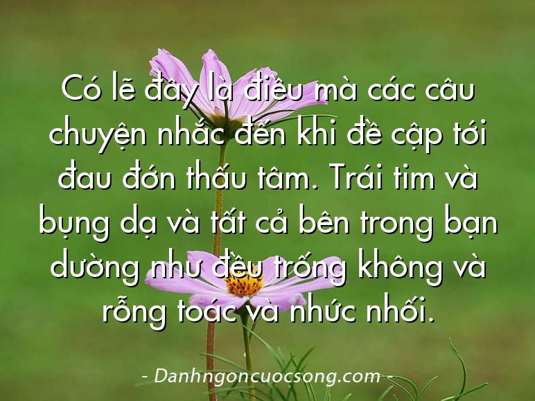 Có lẽ đây là điều mà các câu chuyện nhắc đến khi đề cập tới đau đớn thấu tâm. Trái tim và bụng dạ và tất cả bên trong bạn dường như đều trống không và rỗng toác và nhức nhối.