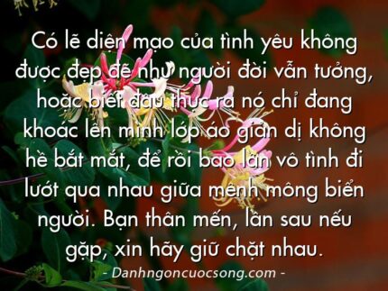 Có lẽ diện mạo của tình yêu không được đẹp đẽ như người đời vẫn tưởng, hoặc biết đâu thực ra nó chỉ đang khoác lên mình lớp áo giản dị không hề bắt mắt, để rồi bao lần vô tình đi lướt qua nhau giữa mênh mông biển người. Bạn thân mến, lần sau nếu gặp, xin hãy giữ chặt nhau.
