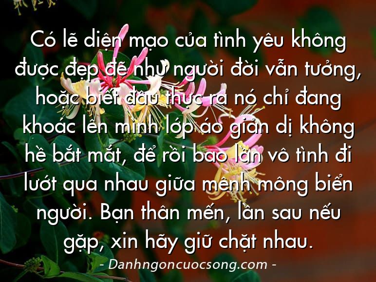 Có lẽ diện mạo của tình yêu không được đẹp đẽ như người đời vẫn tưởng, hoặc biết đâu thực ra nó chỉ đang khoác lên mình lớp áo giản dị không hề bắt mắt, để rồi bao lần vô tình đi lướt qua nhau giữa mênh mông biển người. Bạn thân mến, lần sau nếu gặp, xin hãy giữ chặt nhau.