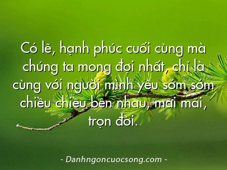 Có lẽ, hạnh phúc cuối cùng mà chúng ta mong đợi nhất, chỉ là cùng với người mình yêu sớm sớm chiều chiều bên nhau, mãi mãi, trọn đời.