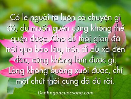 Có lẽ người ta luôn có chuyện gì đó, dù muốn quên cũng không thể quên được. Cho dù thời gian đã trôi qua bao lâu, trốn đi dù xa đến đâu, cũng không làm được gì. Lòng không buông xuôi được, chỉ một chút thôi cũng đã đủ rồi.