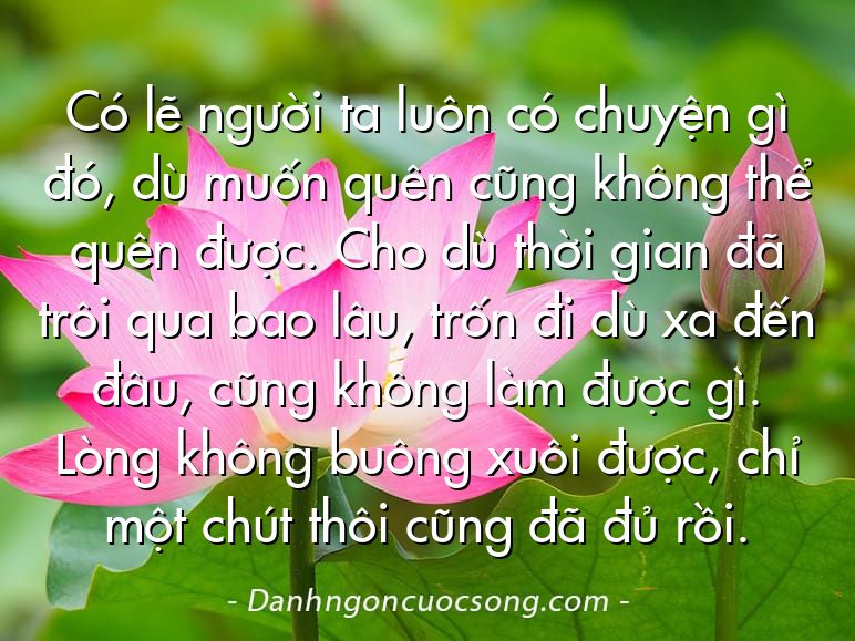 Có lẽ người ta luôn có chuyện gì đó, dù muốn quên cũng không thể quên được. Cho dù thời gian đã trôi qua bao lâu, trốn đi dù xa đến đâu, cũng không làm được gì. Lòng không buông xuôi được, chỉ một chút thôi cũng đã đủ rồi.