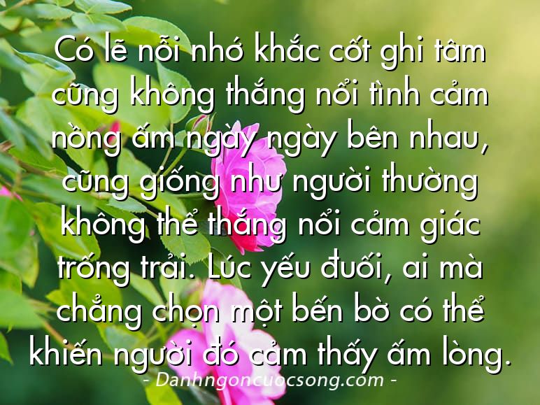 Có lẽ nỗi nhớ khắc cốt ghi tâm cũng không thắng nổi tình cảm nồng ấm ngày ngày bên nhau, cũng giống như người thường không thể thắng nổi cảm giác trống trải. Lúc yếu đuối, ai mà chẳng chọn một bến bờ có thể khiến người đó cảm thấy ấm lòng.