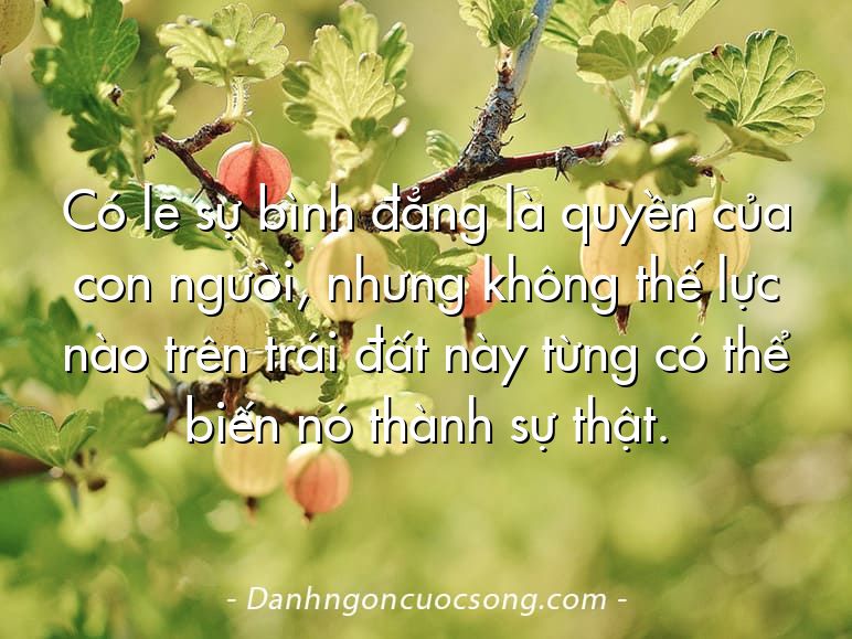 Có lẽ sự bình đẳng là quyền của con người, nhưng không thế lực nào trên trái đất này từng có thể biến nó thành sự thật.