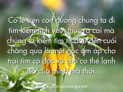 Có lẽ trên con đường chúng ta đi tìm kiếm tình yêu, thực ra cái mà chúng ta kiếm tìm từ đầu đến cuối chẳng qua là một góc ấm áp cho trái tim cô độc và cho cơ thể lạnh lẽo của mình mà thôi.