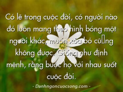 Có lẽ trong cuộc đời, có người nào đó luôn mang theo hình bóng một người khác, muốn xóa bỏ cũ̀ng không được. Giống như định mệnh, rằng buộc họ với nhau suốt cuộc đời.