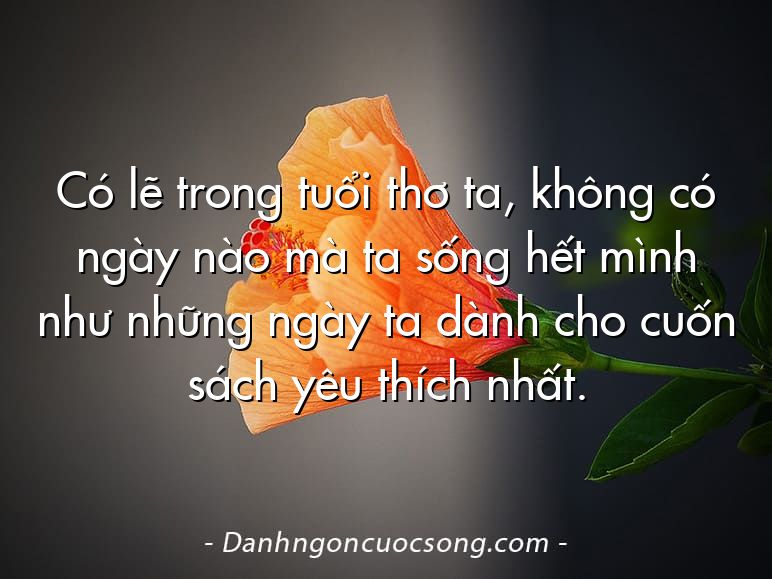 Có lẽ trong tuổi thơ ta, không có ngày nào mà ta sống hết mình như những ngày ta dành cho cuốn sách yêu thích nhất.
