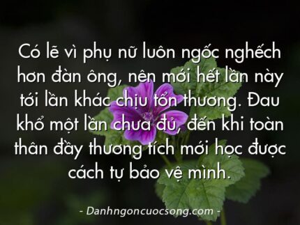 Có lẽ vì phụ nữ luôn ngốc nghếch hơn đàn ông, nên mới hết lần này tới lần khác chịu tổn thương. Đau khổ một lần chưa đủ, đến khi toàn thân đầy thương tích mới học được cách tự bảo vệ mình.