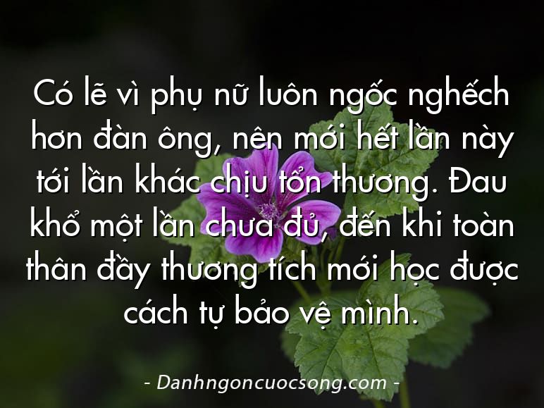 Có lẽ vì phụ nữ luôn ngốc nghếch hơn đàn ông, nên mới hết lần này tới lần khác chịu tổn thương. Đau khổ một lần chưa đủ, đến khi toàn thân đầy thương tích mới học được cách tự bảo vệ mình.
