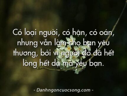 Có loại người, có hận, có oán, nhưng vẫn làm cho bạn yêu thương, bởi vì người đó đã hết lòng hết dạ mà yêu bạn.