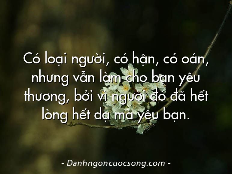 Có loại người, có hận, có oán, nhưng vẫn làm cho bạn yêu thương, bởi vì người đó đã hết lòng hết dạ mà yêu bạn.