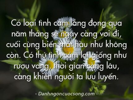 Có loại tình cảm lắng đọng qua năm tháng sẽ ngày càng vơi đi, cuối cùng biến mất hầu như không còn. Có thứ tình cảm lại giống như rượu vang, thời gian càng lâu, càng khiến người ta lưu luyến.
