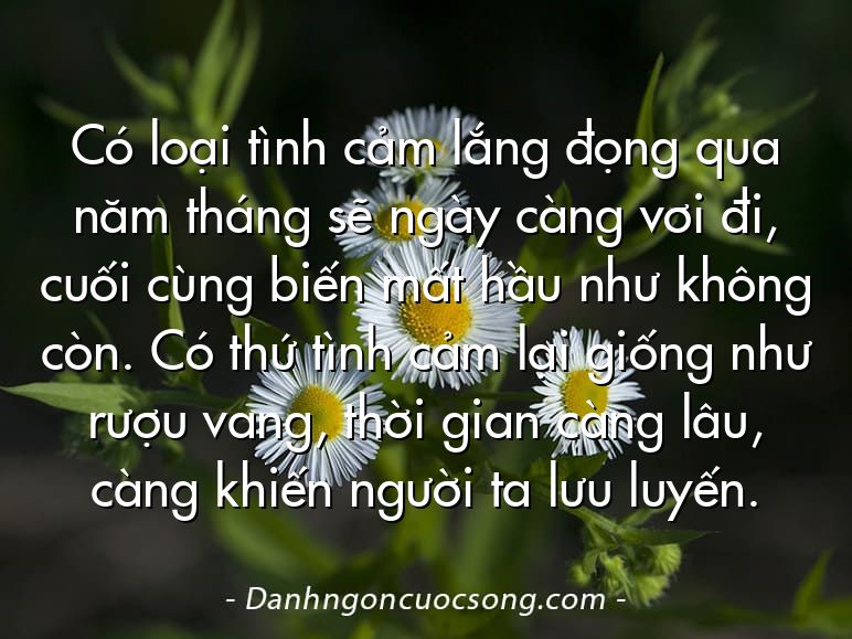 Có loại tình cảm lắng đọng qua năm tháng sẽ ngày càng vơi đi, cuối cùng biến mất hầu như không còn. Có thứ tình cảm lại giống như rượu vang, thời gian càng lâu, càng khiến người ta lưu luyến.