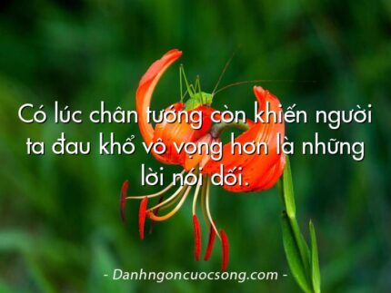 Có lúc chân tướng còn khiến người ta đau khổ vô vọng hơn là những lời nói dối.