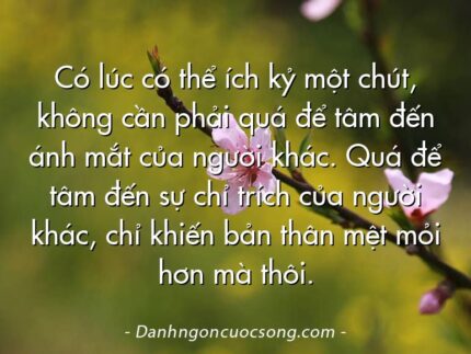 Có lúc có thể ích kỷ một chút, không cần phải quá để tâm đến ánh mắt của người khác. Quá để tâm đến sự chỉ trích của người khác, chỉ khiến bản thân mệt mỏi hơn mà thôi.