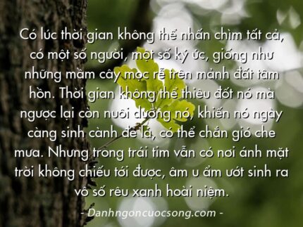 Có lúc thời gian không thể nhấn chìm tất cả, có một số người, một số ký ức, giống như những mầm cây mọc rễ trên mảnh đất tâm hồn. Thời gian không thể thiêu đốt nó mà ngược lại còn nuôi dưỡng nó, khiến nó ngày càng sinh cành đẻ lá, có thể chắn gió che mưa. Nhưng trong trái tim vẫn có nơi ánh mặt trời không chiếu tới được, âm u ẩm ướt sinh ra vô số rêu xanh hoài niệm.