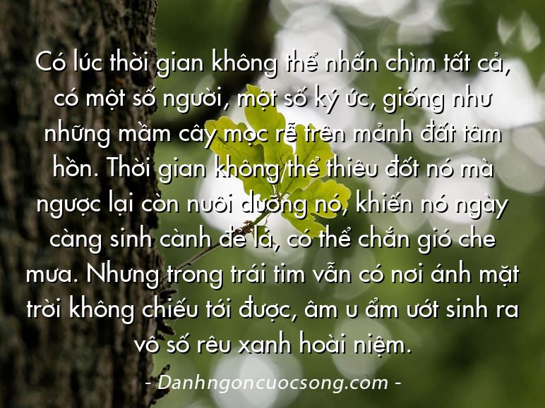 Có lúc thời gian không thể nhấn chìm tất cả, có một số người, một số ký ức, giống như những mầm cây mọc rễ trên mảnh đất tâm hồn. Thời gian không thể thiêu đốt nó mà ngược lại còn nuôi dưỡng nó, khiến nó ngày càng sinh cành đẻ lá, có thể chắn gió che mưa. Nhưng trong trái tim vẫn có nơi ánh mặt trời không chiếu tới được, âm u ẩm ướt sinh ra vô số rêu xanh hoài niệm.