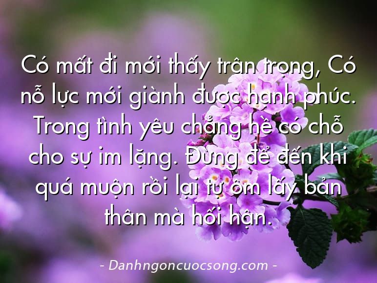 Có mất đi mới thấy trân trọng, Có nỗ lực mới giành được hạnh phúc. Trong tình yêu chẳng hề có chỗ cho sự im lặng. Đừng để đến khi quá muộn rồi lại tự ôm lấy bản thân mà hối hận.