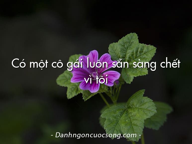 Có một cô gái luôn sẵn sàng chết vì tôi