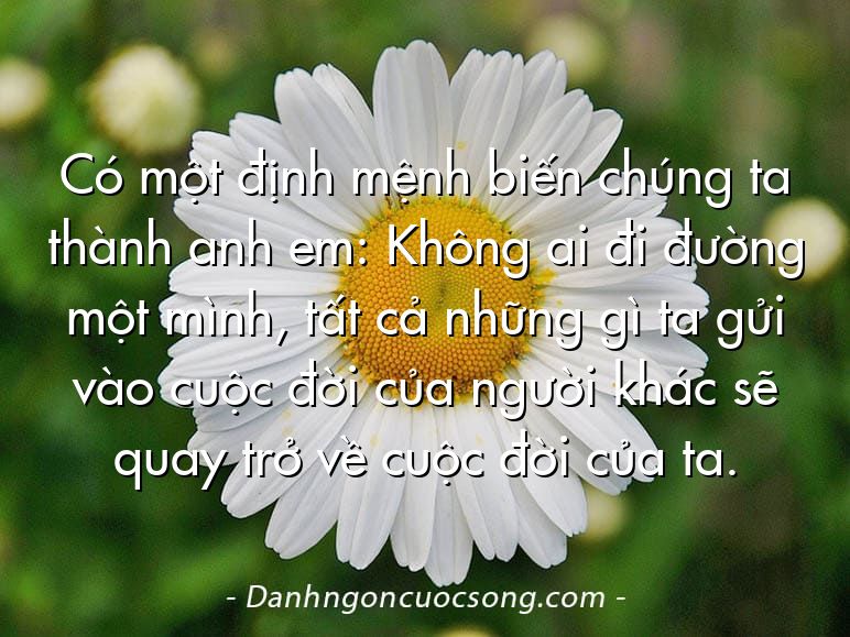 Có một định mệnh biến chúng ta thành anh em: Không ai đi đường một mình, tất cả những gì ta gửi vào cuộc đời của người khác sẽ quay trở về cuộc đời của ta.