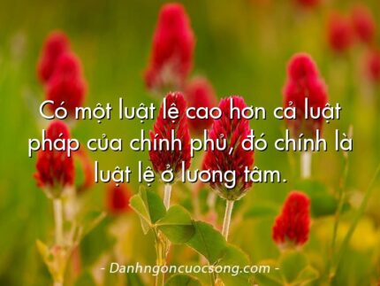 Có một luật lệ cao hơn cả luật pháp của chính phủ, đó chính là luật lệ ở lương tâm.