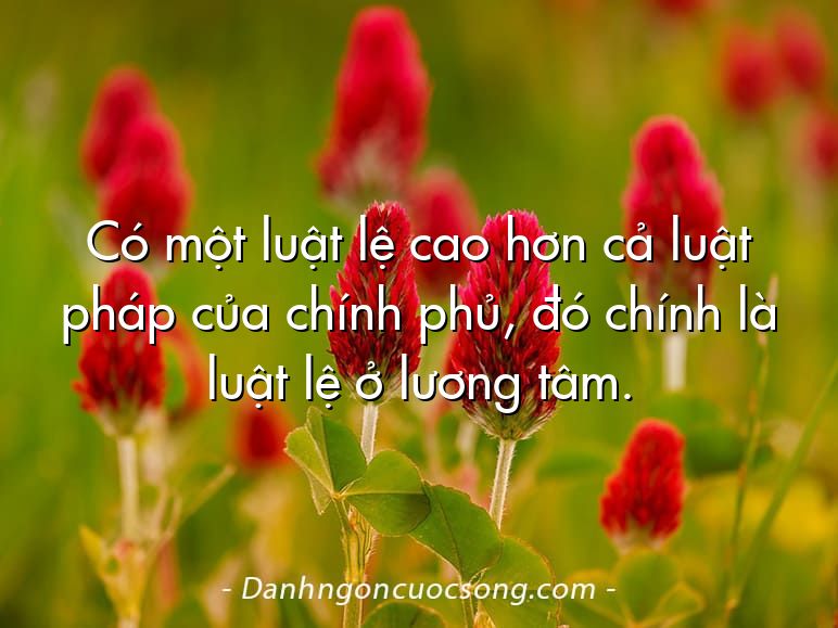 Có một luật lệ cao hơn cả luật pháp của chính phủ, đó chính là luật lệ ở lương tâm.