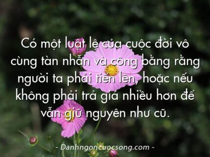 Có một luật lệ của cuộc đời vô cùng tàn nhẫn và công bằng rằng người ta phải tiến lên, hoặc nếu không phải trả giá nhiều hơn để vẫn giữ nguyên như cũ.