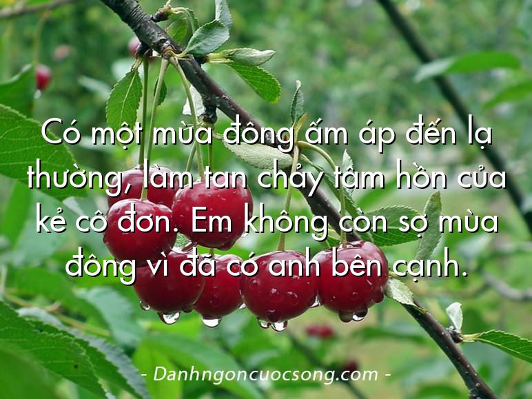 Có một mùa đông ấm áp đến lạ thường, làm tan chảy tâm hồn của kẻ cô đơn. Em không còn sợ mùa đông vì đã có anh bên cạnh.