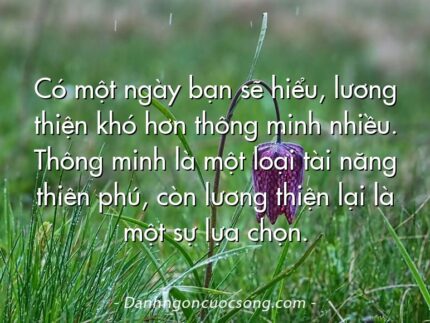 Có một ngày bạn sẽ hiểu, lương thiện khó hơn thông minh nhiều. Thông minh là một loại tài năng thiên phú, còn lương thiện lại là một sự lựa chọn.