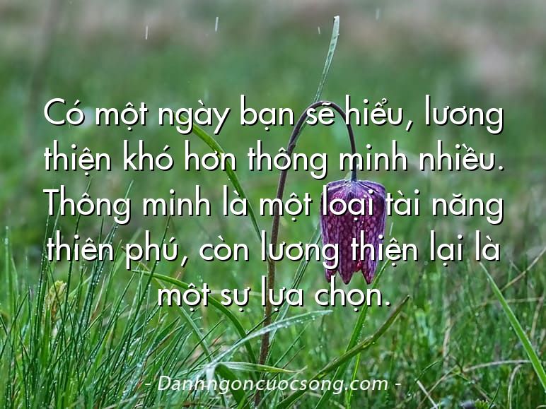 Có một ngày bạn sẽ hiểu, lương thiện khó hơn thông minh nhiều. Thông minh là một loại tài năng thiên phú, còn lương thiện lại là một sự lựa chọn.