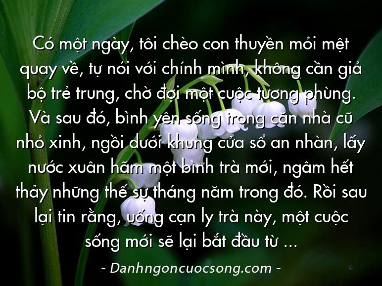 Có một ngày, tôi chèo con thuyền mỏi mệt quay về, tự nói với chính mình, không cần giả bộ trẻ trung, chờ đợi một cuộc tương phùng. Và sau đó, bình yên sống trong căn nhà cũ nhỏ xinh, ngồi dưới khung cửa sổ an nhàn, lấy nước xuân hãm một bình trà mới, ngâm hết thảy những thế sự tháng năm trong đó. Rồi sau lại tin rằng, uống cạn ly trà này, một cuộc sống mới sẽ lại bắt đầu từ đây.