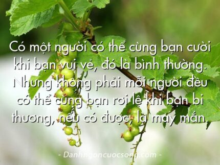 Có một người có thể cùng bạn cười khi bạn vui vẻ, đó là bình thường. Nhưng không phải mỗi người đều có thể cùng bạn rơi lệ khi bạn bi thương, nếu có được, là may mắn.