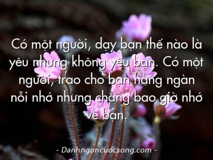 Có một người, dạy bạn thế nào là yêu nhưng không yêu bạn. Có một người, trao cho bạn hàng ngàn nỗi nhớ nhưng chẳng bao giờ nhớ về bạn.