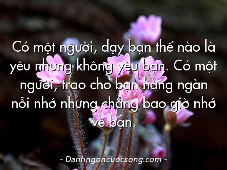 Có một người, dạy bạn thế nào là yêu nhưng không yêu bạn. Có một người, trao cho bạn hàng ngàn nỗi nhớ nhưng chẳng bao giờ nhớ về bạn.