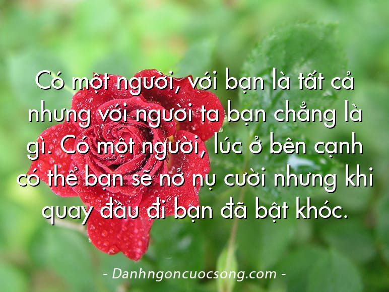 Có một người, với bạn là tất cả nhưng với người ta bạn chẳng là gì. Có một người, lúc ở bên cạnh có thể bạn sẽ nở nụ cười nhưng khi quay đầu đi bạn đã bật khóc.