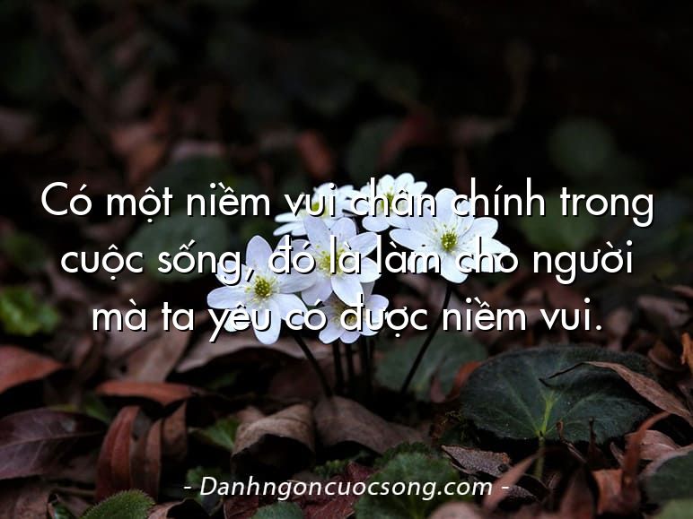 Có một niềm vui chân chính trong cuộc sống, đó là làm cho người mà ta yêu có được niềm vui.