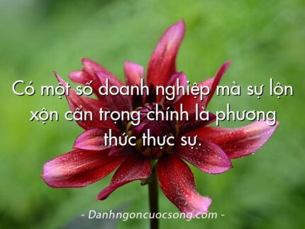 Có một số doanh nghiệp mà sự lộn xộn cẩn trọng chính là phương thức thực sự.
