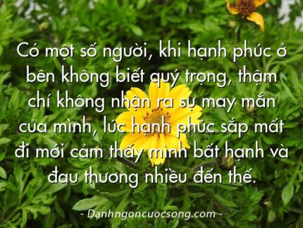 Có một số người, khi hạnh phúc ở bên không biết quý trọng, thậm chí không nhận ra sự may mắn của mình, lúc hạnh phúc sắp mất đi mới cảm thấy mình bất hạnh và đau thương nhiều đến thế.