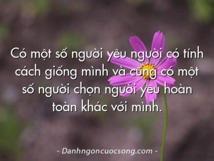 Có một số người yêu người có tính cách giống mình và cũng có một số người chọn người yêu hoàn toàn khác với mình.