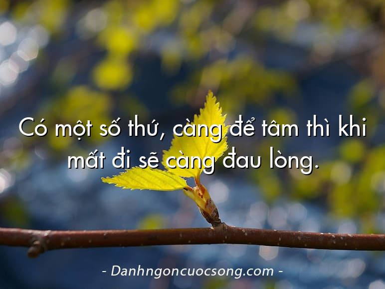 Có một số thứ, càng để tâm thì khi mất đi sẽ càng đau lòng.