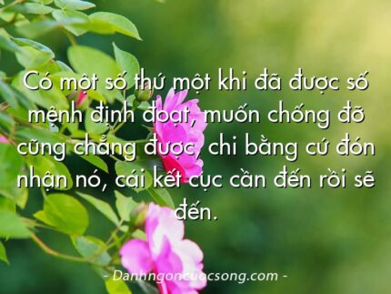 Có một số thứ một khi đã được số mệnh định đoạt, muốn chống đỡ cũng chẳng được, chi bằng cứ đón nhận nó, cái kết cục cần đến rồi sẽ đến.