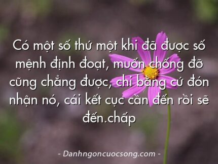 Có một số thứ một khi đã được số mệnh định đoạt, muốn chống đỡ cũng chẳng được, chi bằng cứ đón nhận nó, cái kết cục cần đến rồi sẽ đến.chấp