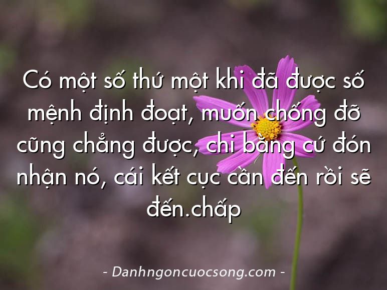 Có một số thứ một khi đã được số mệnh định đoạt, muốn chống đỡ cũng chẳng được, chi bằng cứ đón nhận nó, cái kết cục cần đến rồi sẽ đến.chấp