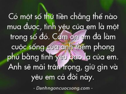 Có một số thứ tiền chẳng thể nào mua được, tình yêu của em là một trong số đó. Cảm ơn em đã làm cuộc sống của anh thêm phong phú bằng tình yêu bao la của em. Anh sẽ mãi trân trọng, giữ gìn và yêu em cả đời này.